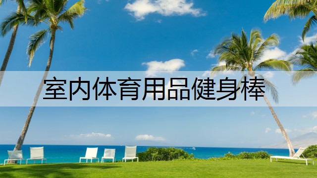 室内体育用品健身棒
