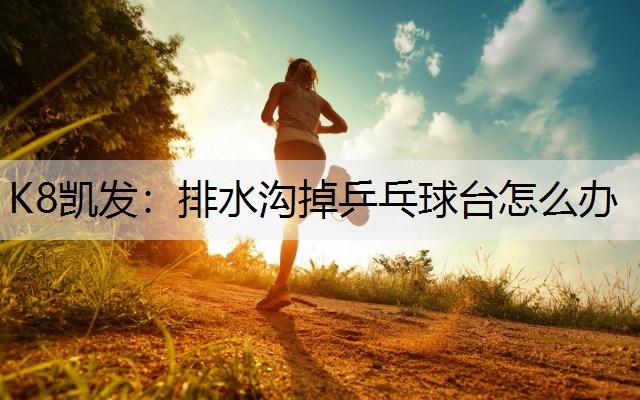 K8凯发：排水沟掉乒乓球台怎么办