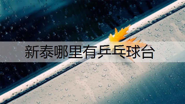 新泰哪里有乒乓球台