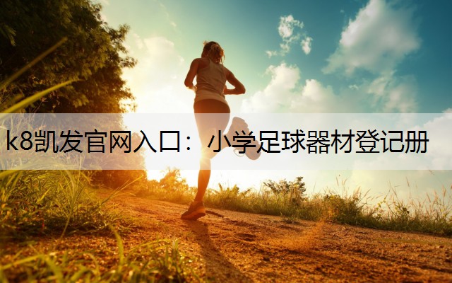 k8凯发官网入口：小学足球器材登记册