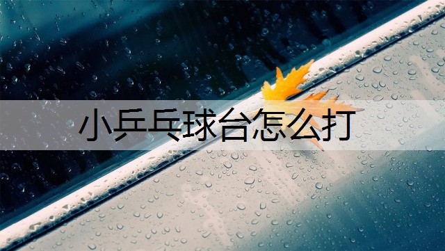 小乒乓球台怎么打