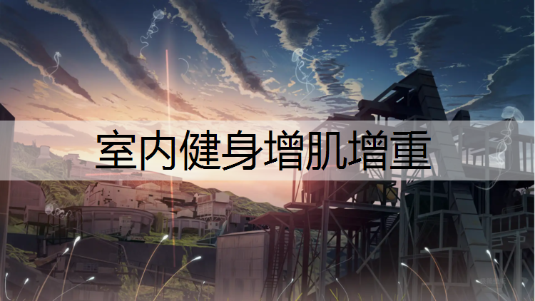 室内健身增肌增重