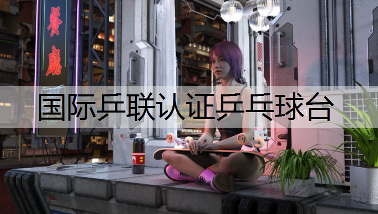 国际乒联认证乒乓球台