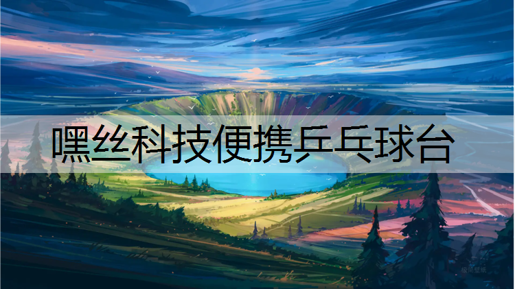 嘿丝科技便携乒乓球台
