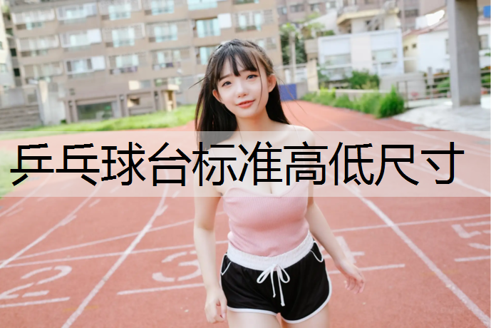 乒乓球台标准高低尺寸