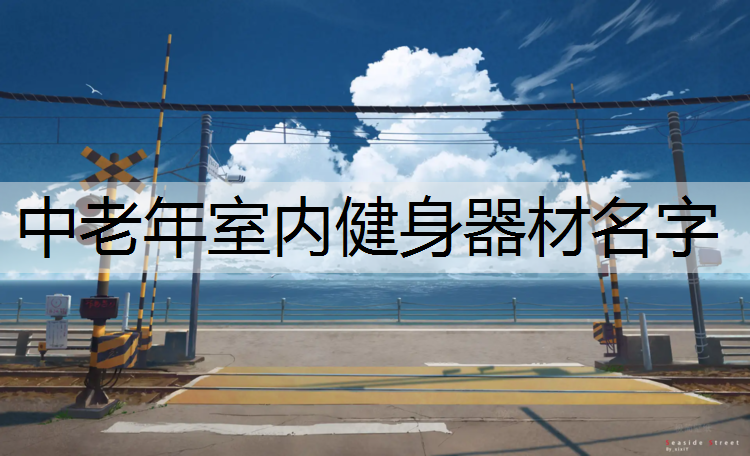 中老年室内健身器材名字