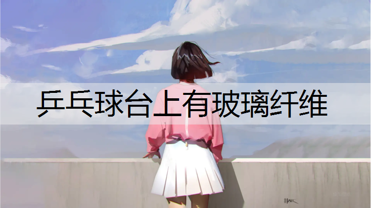 乒乓球台上有玻璃纤维
