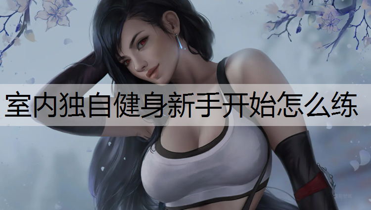 室内独自健身新手开始怎么练