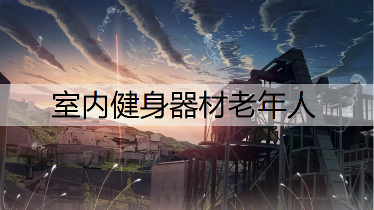 室内健身器材老年人
