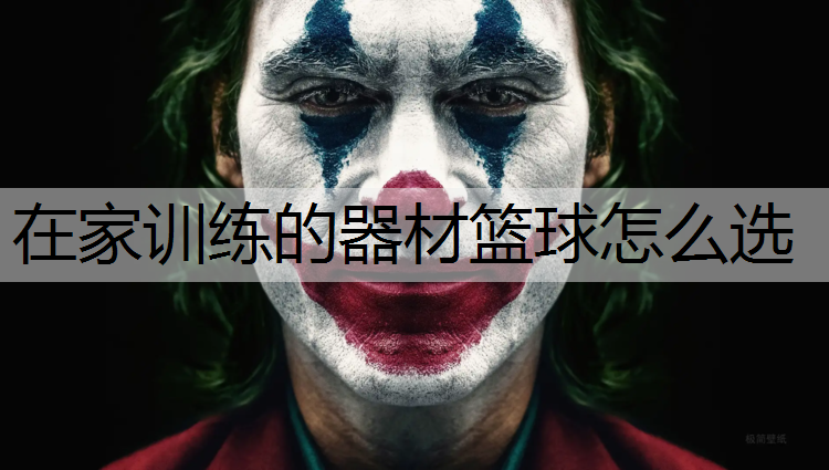 在家训练的器材篮球怎么选