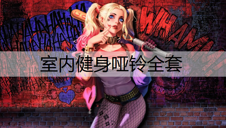 室内健身哑铃全套