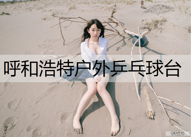 呼和浩特户外乒乓球台