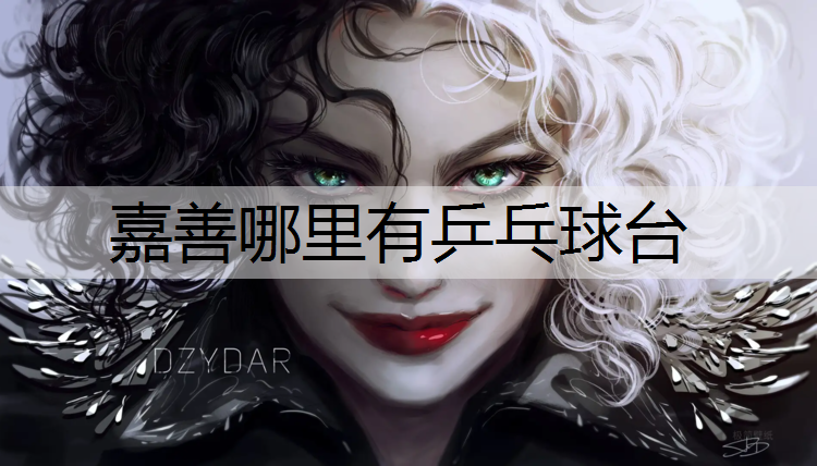 嘉善哪里有乒乓球台