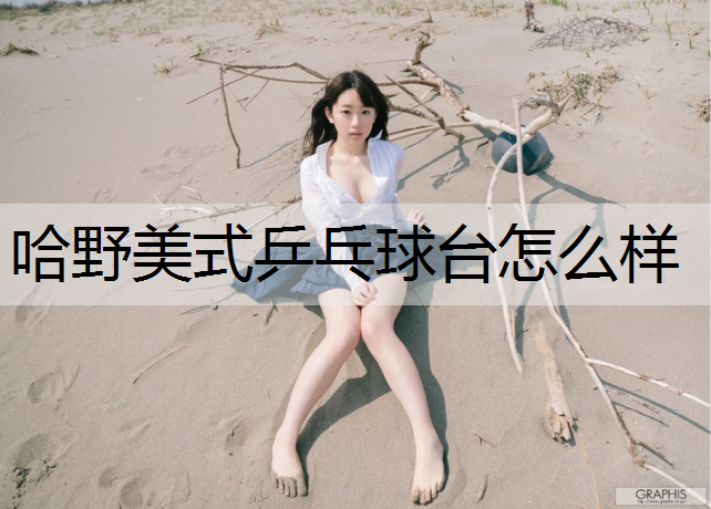 哈野美式乒乓球台怎么样