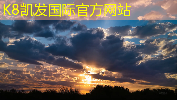 k8凯发官网入口：健身器材踏步机配件