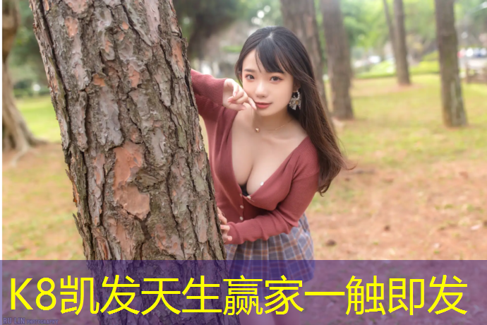 k8凯发官网入口：乒乓球台怎么通过轮子调节高度