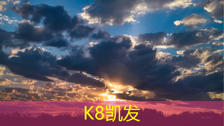 K8凯发中国官方网站：折叠体操垫价格