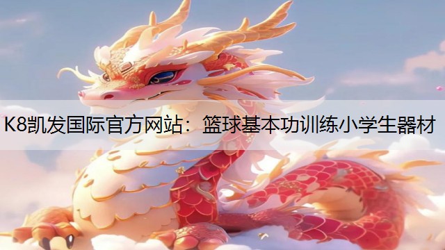 篮球基本功训练小学生器材