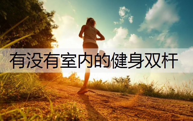 有没有室内的健身双杆