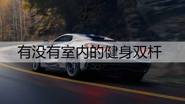 有没有室内的健身双杆