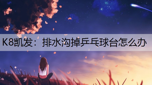 排水沟掉乒乓球台怎么办