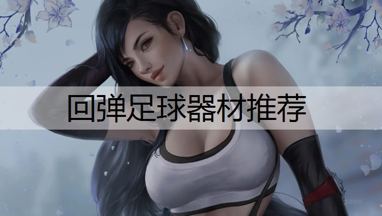 回弹足球器材推荐 回弹足球器材推荐