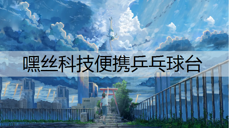 嘿丝科技便携乒乓球台