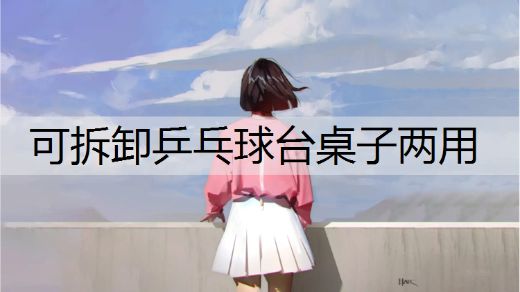 可拆卸乒乓球台桌子两用