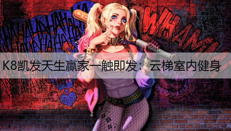 云梯室内健身