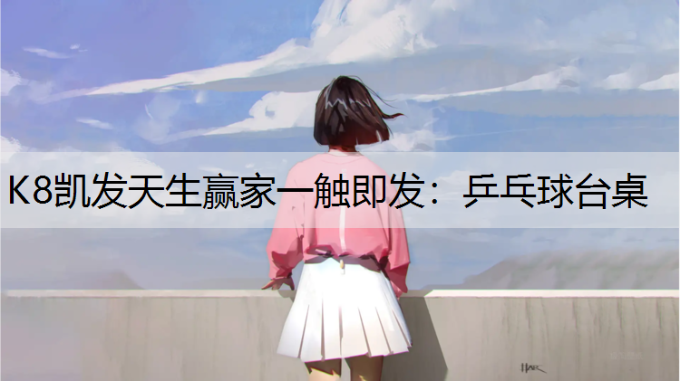乒乓球台桌