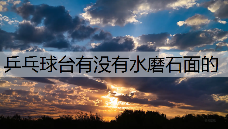 乒乓球台有没有水磨石面的