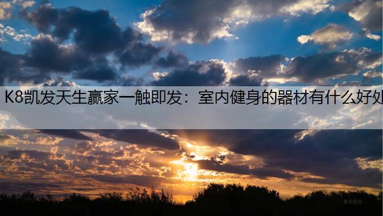 室内健身的器材有什么好处