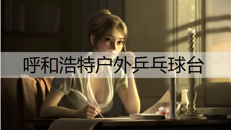 呼和浩特户外乒乓球台