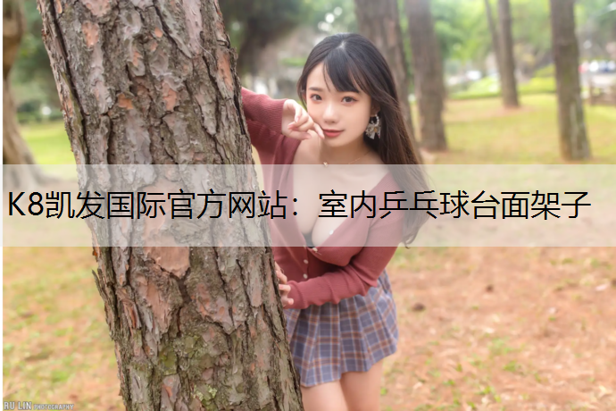 室内乒乓球台面架子