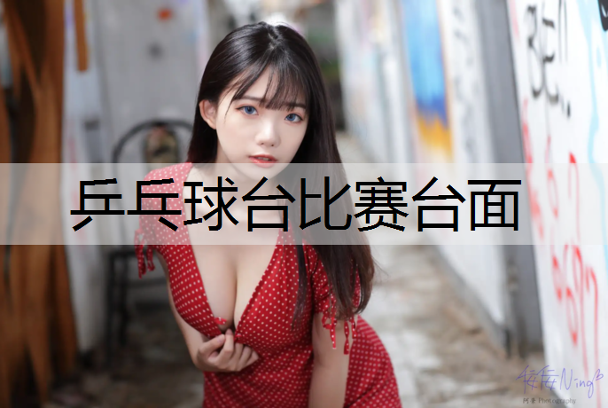 乒乓球台比赛台面