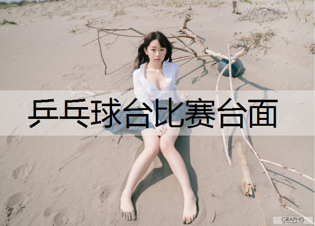 乒乓球台比赛台面