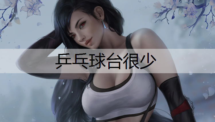 乒乓球台很少