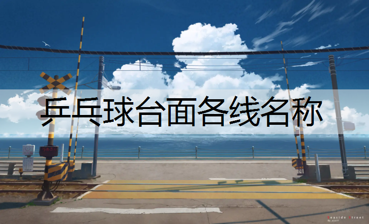 乒乓球台面各线名称