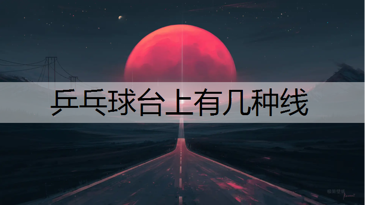 乒乓球台上有几种线