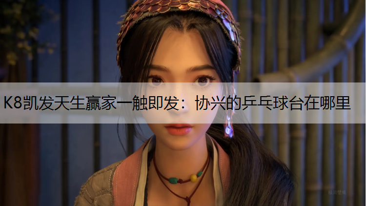 协兴的乒乓球台在哪里